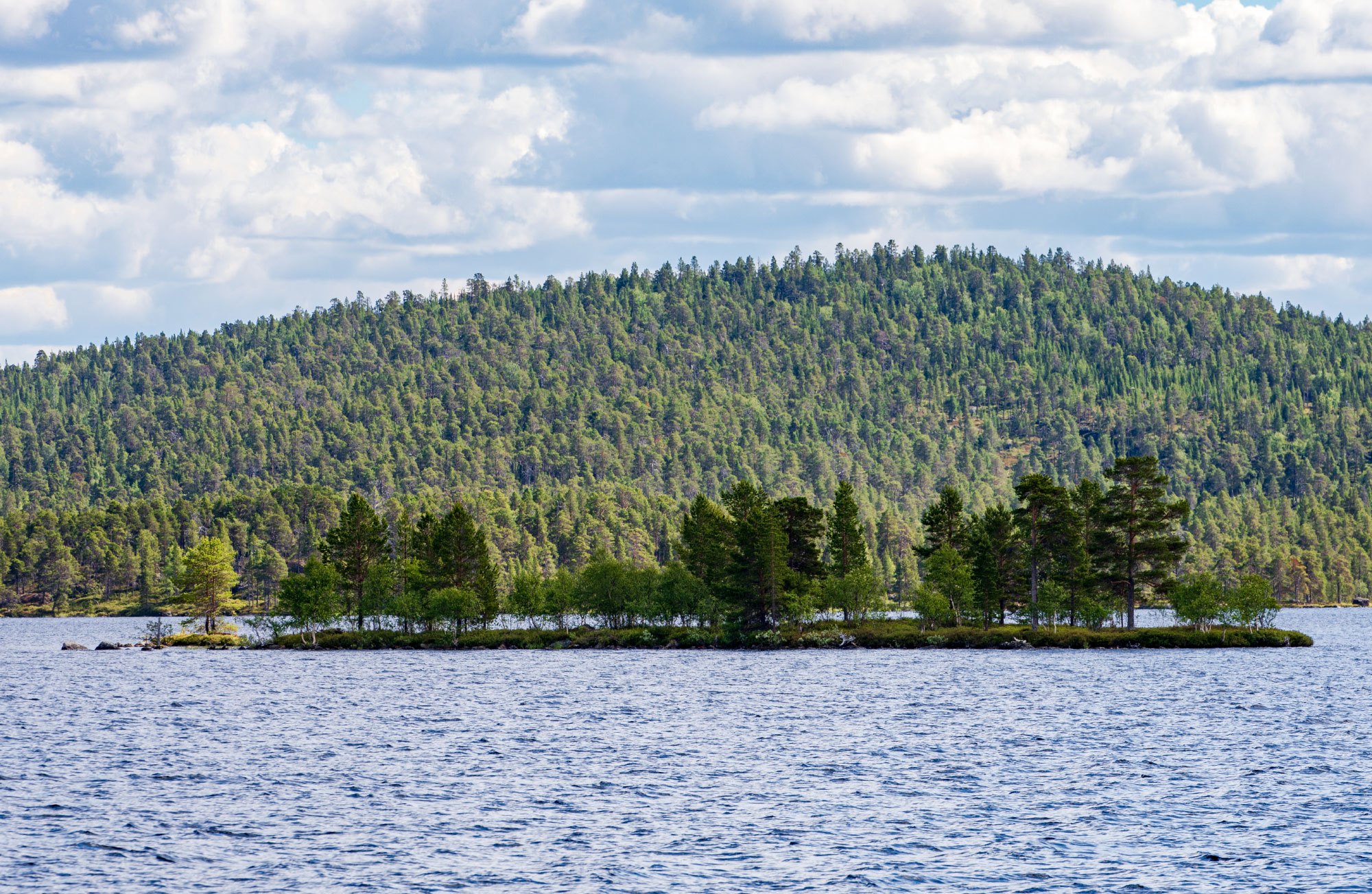 Inari (Photo license: CC BY 2.0)